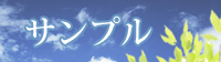 竹炭商品サンプル