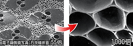 竹炭の多孔質が有害物質を吸着