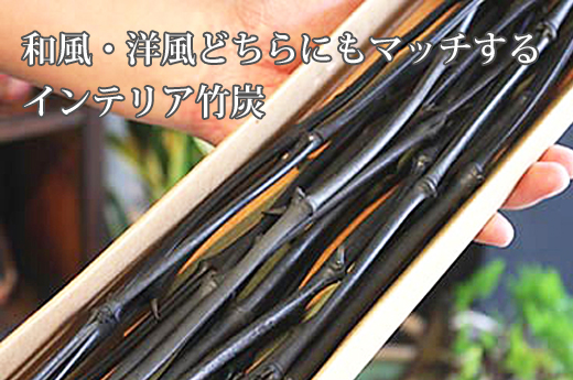 インテリア用竹炭枝